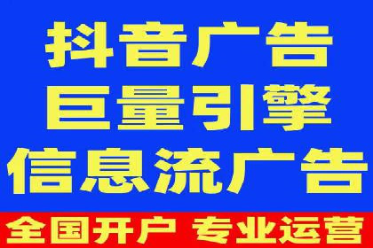 网络推广策略：竞价广告的实践案例